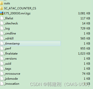 cellranger-atac 操作笔记-2：映射单细胞ATAC数据