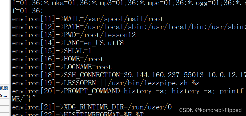 Linux环境变量