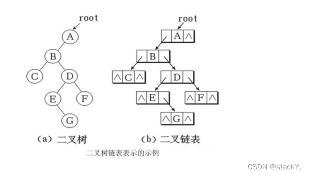  数据结构：二叉树（初阶）