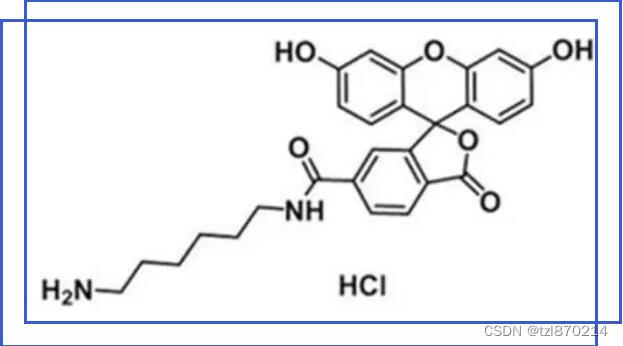 2183440-42-6，1313393-44-0，FAM amine, 6-isomer可以在大多数有机溶剂中溶解