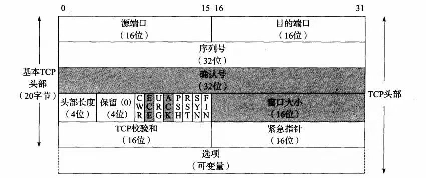 TCPͷ