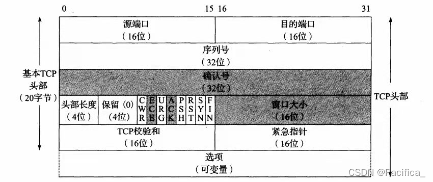 TCP header