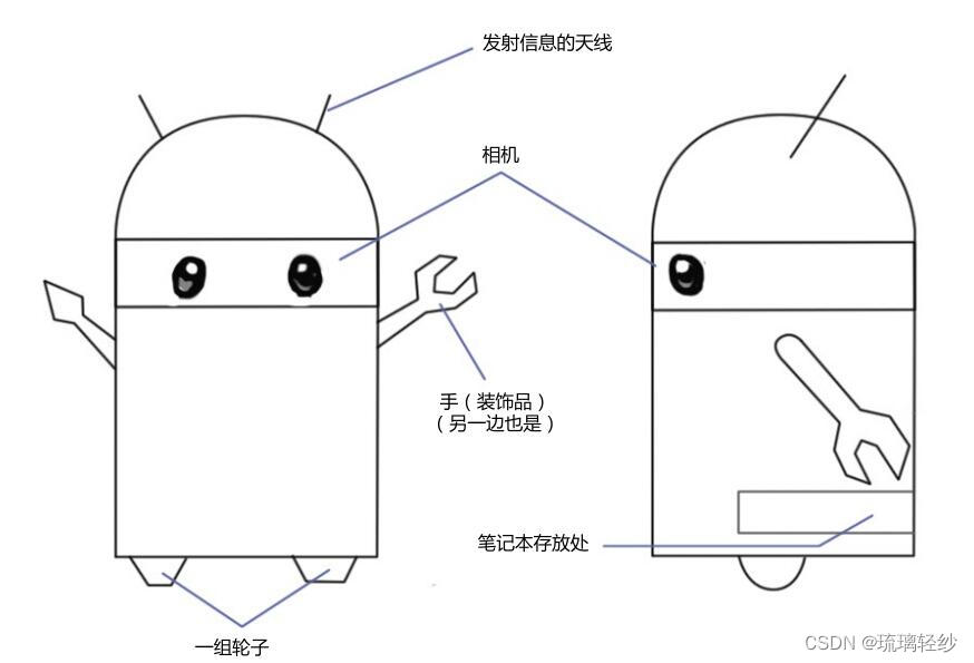 不同角度可爱的小萝卜