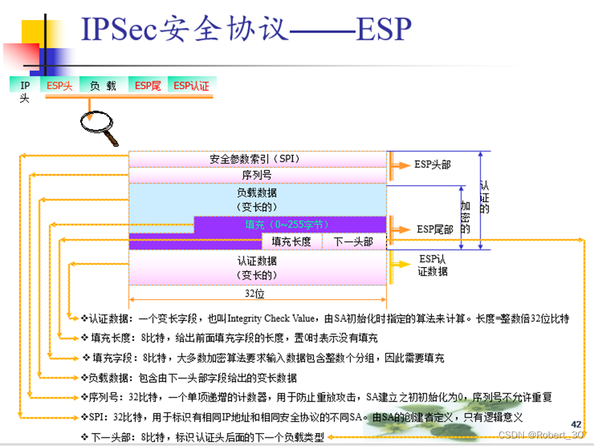 ESP协议格式