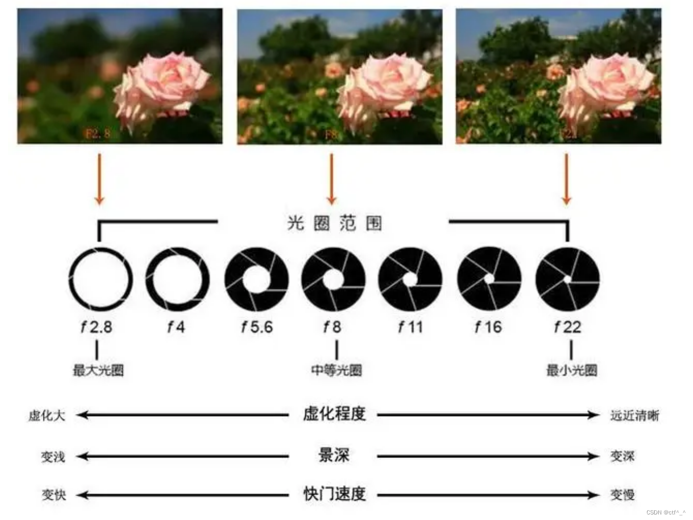 曝光景深与镜头的摄影知识_景深对畸变有影响吗-CSDN博客