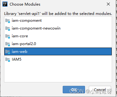 IDEA运行IAM3.0的管理后台项目（WAR包运行）