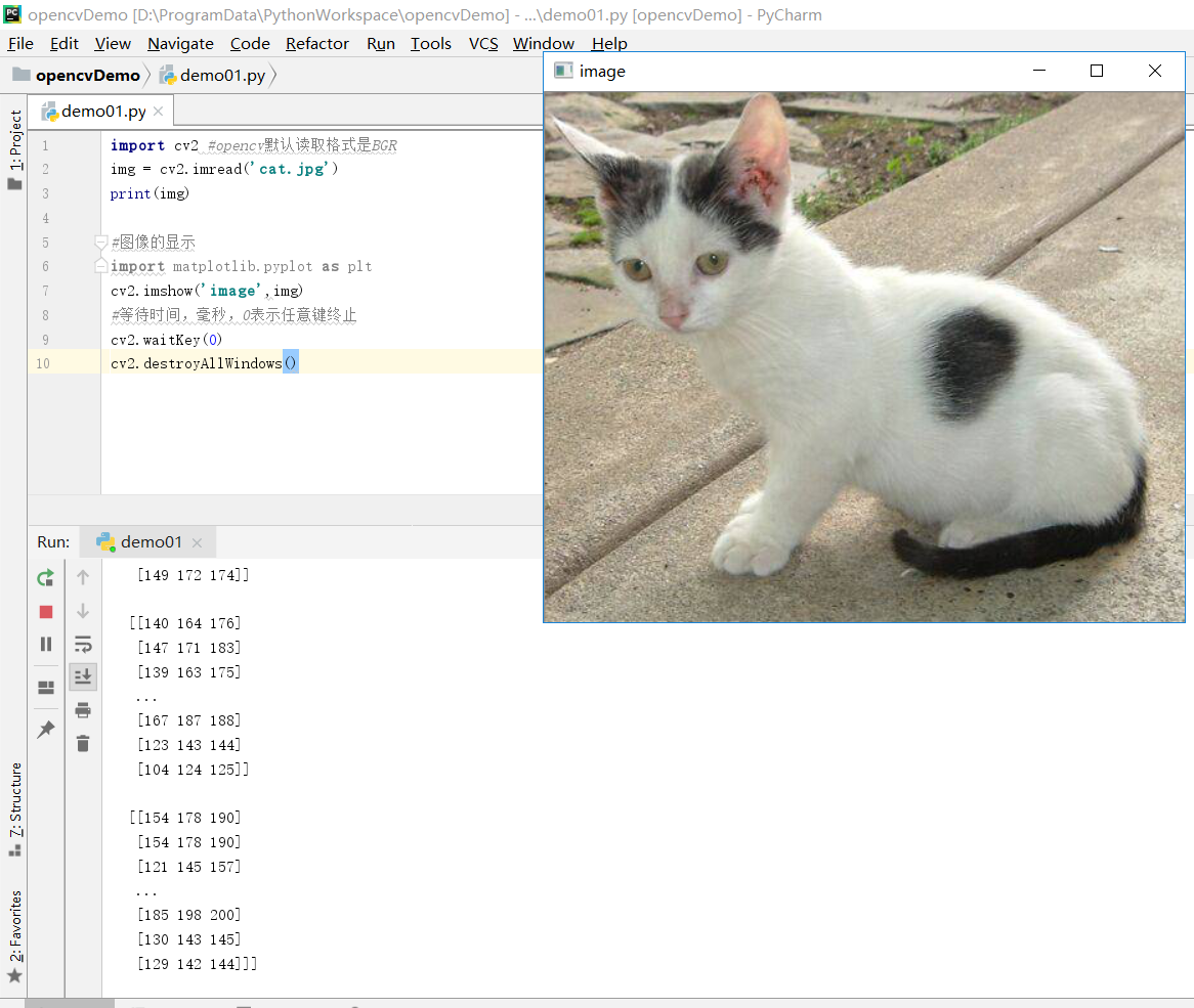 Python+OpenCV图片基本操作:读取像素值、图片展示_python opencv获取图像中间kernel像素-CSDN博客