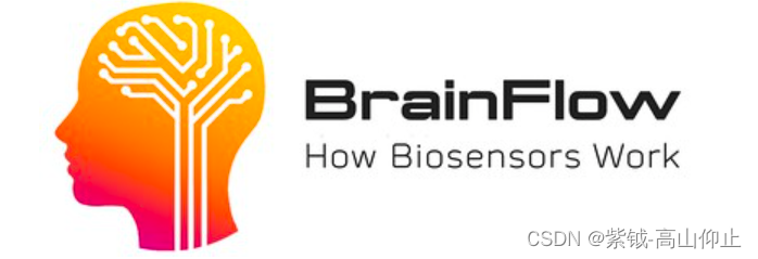 【脑机接口开源数据处理包】brainflowBrainFlow是一个库，旨在获取，解析和分析脑电图，肌电图，心电图和其他类型的数据从生物传感器。