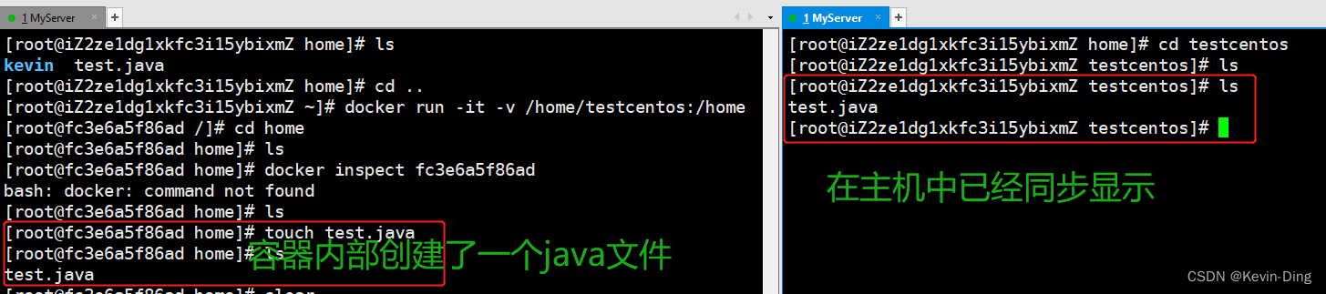 Insira a descrição da imagem aqui