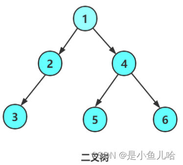 《Java数据结构》这些树和二叉树的性质你还记得吗？