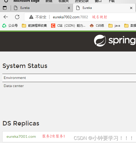 [外链图片转存失败,源站可能有防盗链机制,建议将图片保存下来直接上传(img-sZg0RR5L-1663163987250)(image/23、集群域名映射启动.png)]