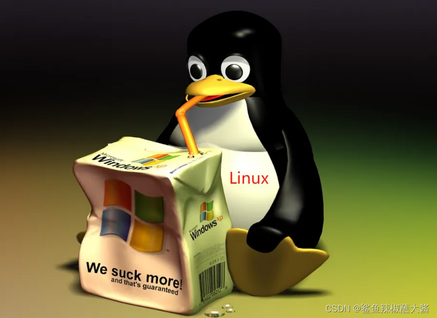Linux基础命令二