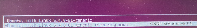 ubuntu18.04 禁用自带nouveau后重启无法进入系统