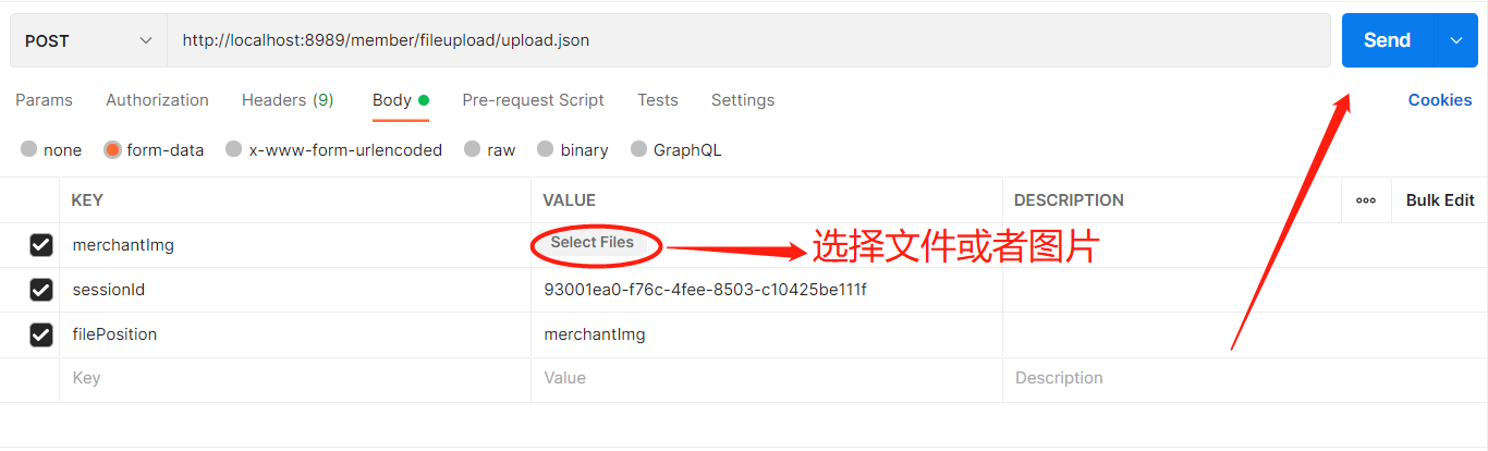 postman测试上传文件(上传图片)