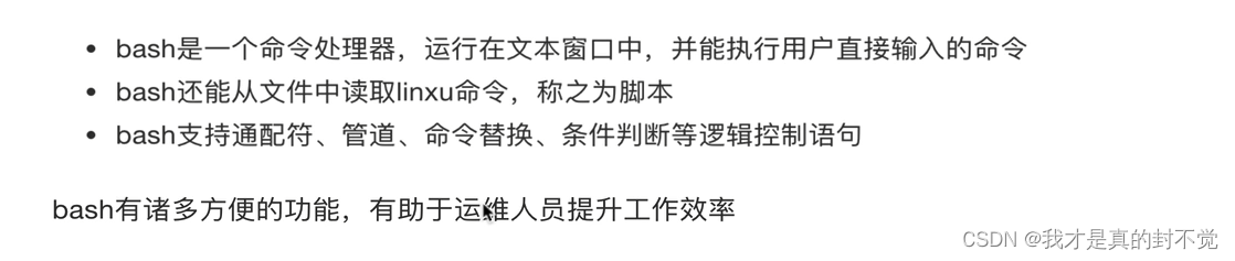 Shell最全笔记 就决定用你了
