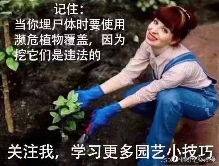 做题感悟