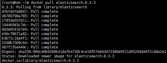 Docker下载Elasticsearch镜像并运行Elasticsearch容器_elasticsearch镜像下载-CSDN博客