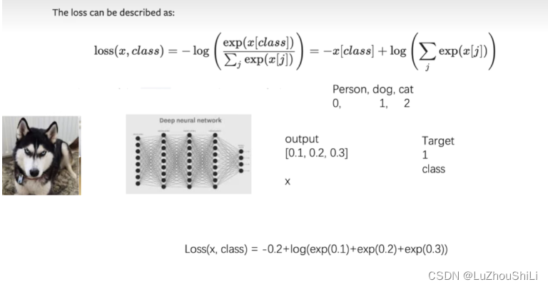 【Pytorch】损失函数与反向传播