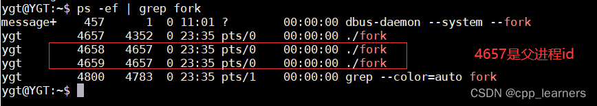 C/C++ Linux进程操作