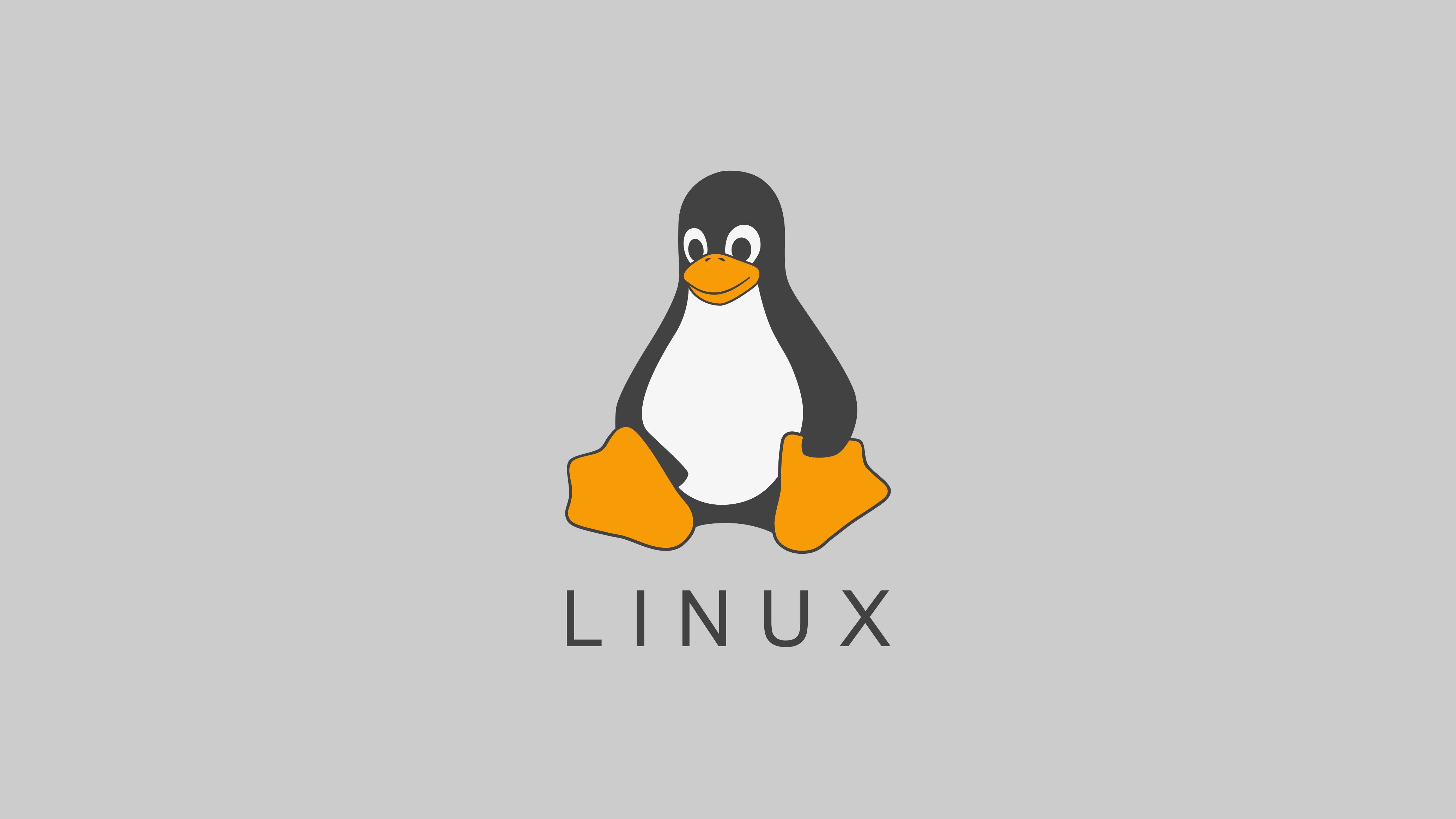 认识linux