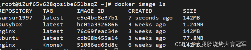 docker系统笔记-03镜像的创建管理和发布