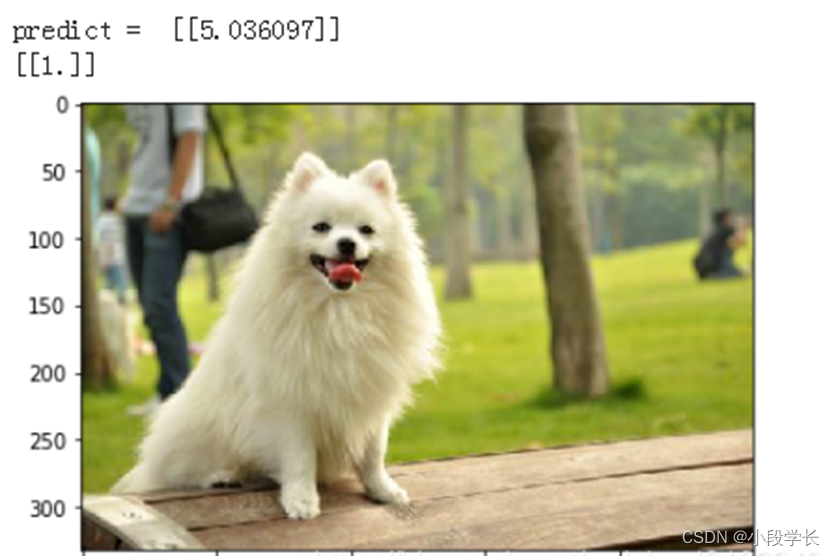 猫狗图像数据集上的深度学习模型性能对比_huggingface图像分类模型性能比较-CSDN博客