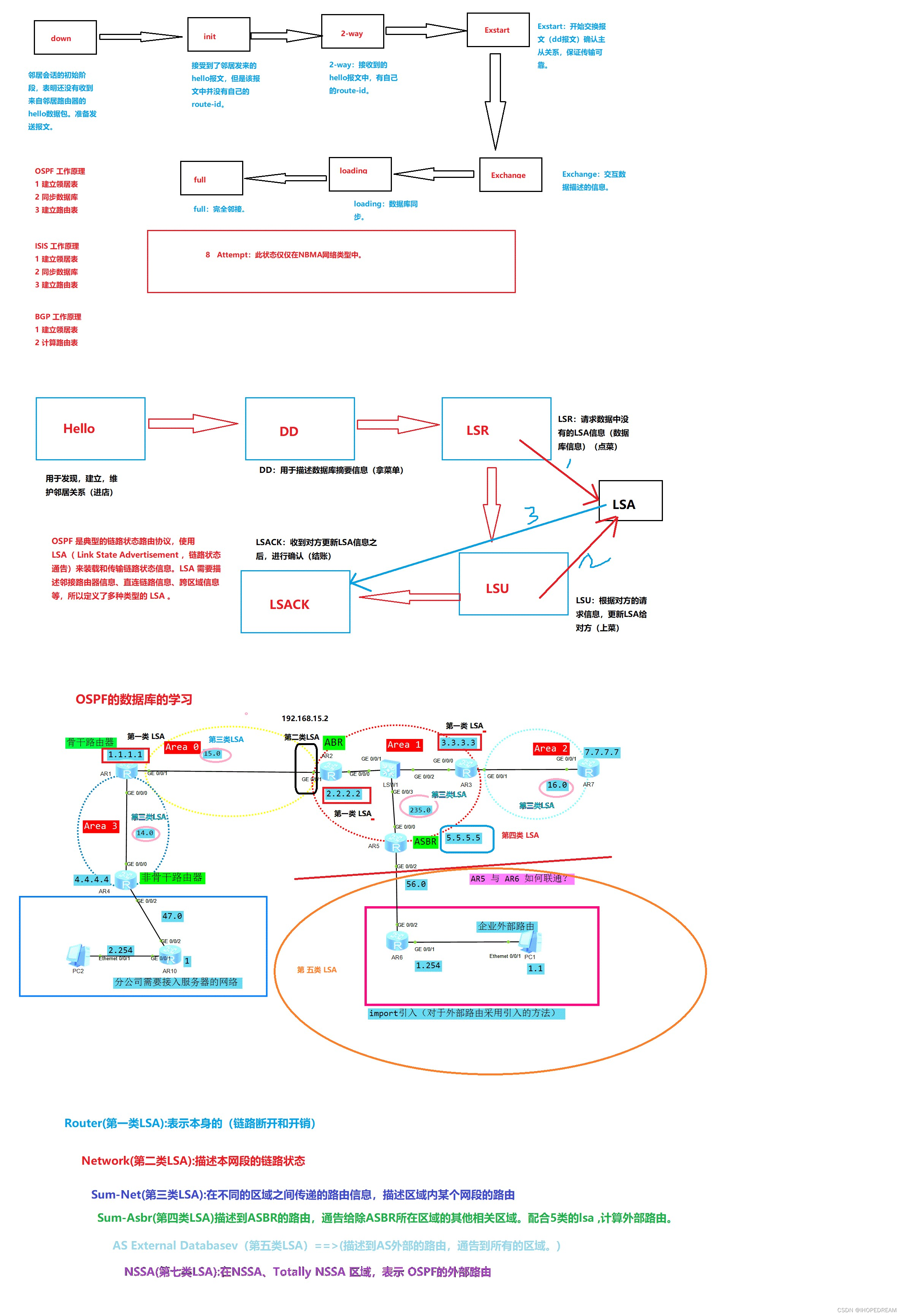 初步认识OSPF的大致内容(第三课)