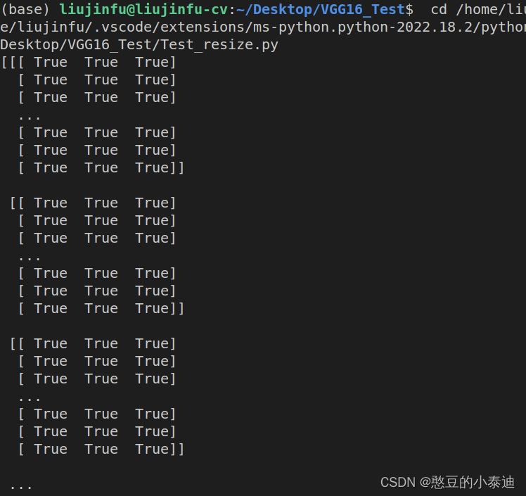 pytorch-torch-nn-functional-interpolate-cv2-resize-cv2