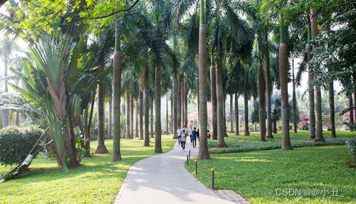 Have you ever been to any interesting parks in Futian District?