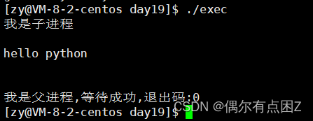 Linux: 进程（控制）