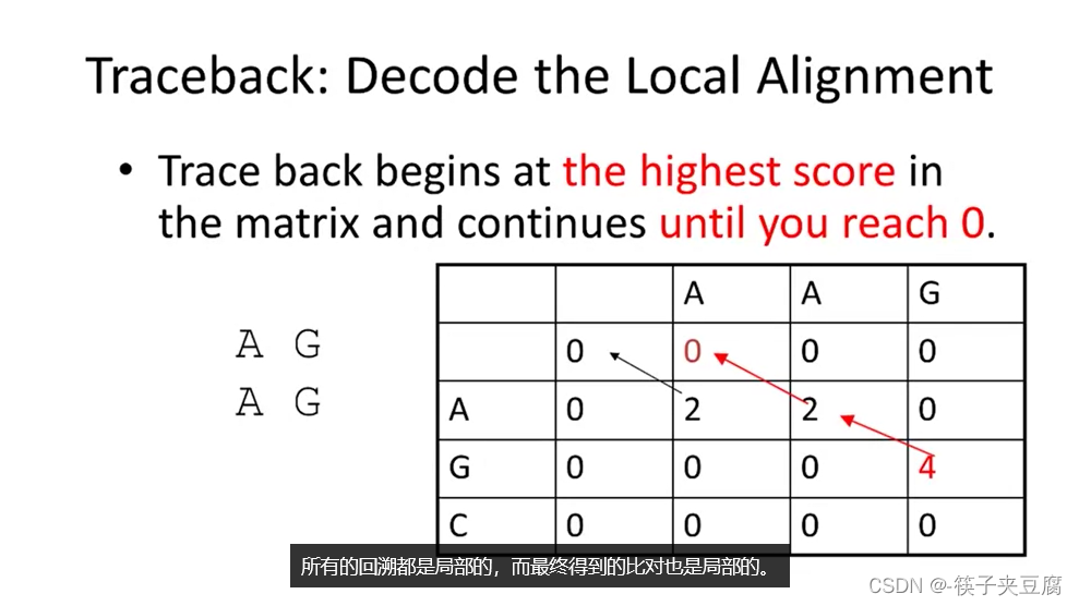 生物信息学导论(第二课)_sequence alignment名词解释-CSDN博客