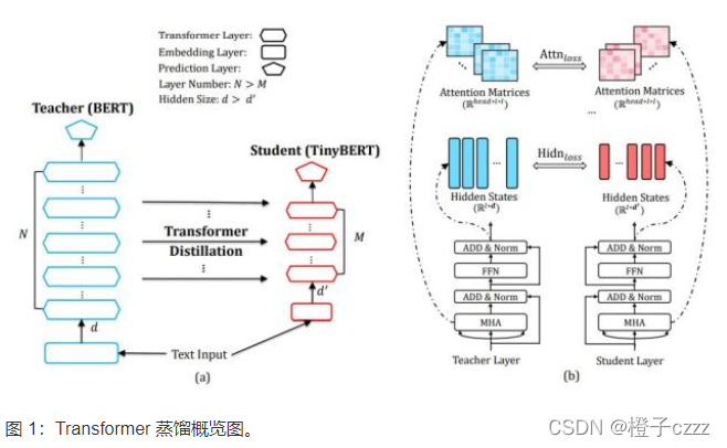 Distillbert distill_bert和tiny_bert_distillbert-CSDN博客