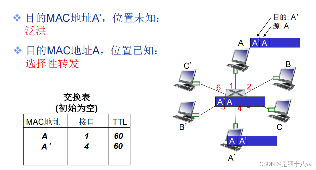 计算机网络——数据链路层知识概览