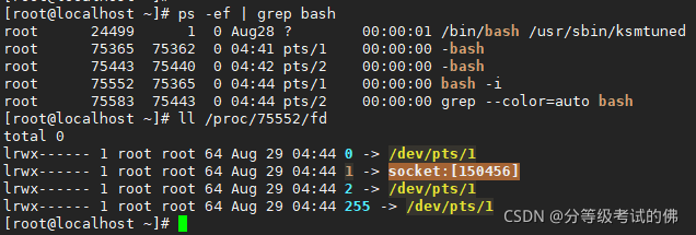 请添加图片描述