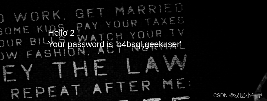 BUUCTF-sql双写绕过