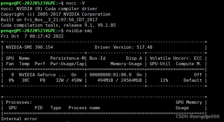 WSL2和Docker使用GPU