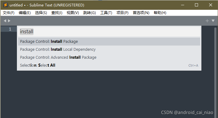 在这里插入图片描述