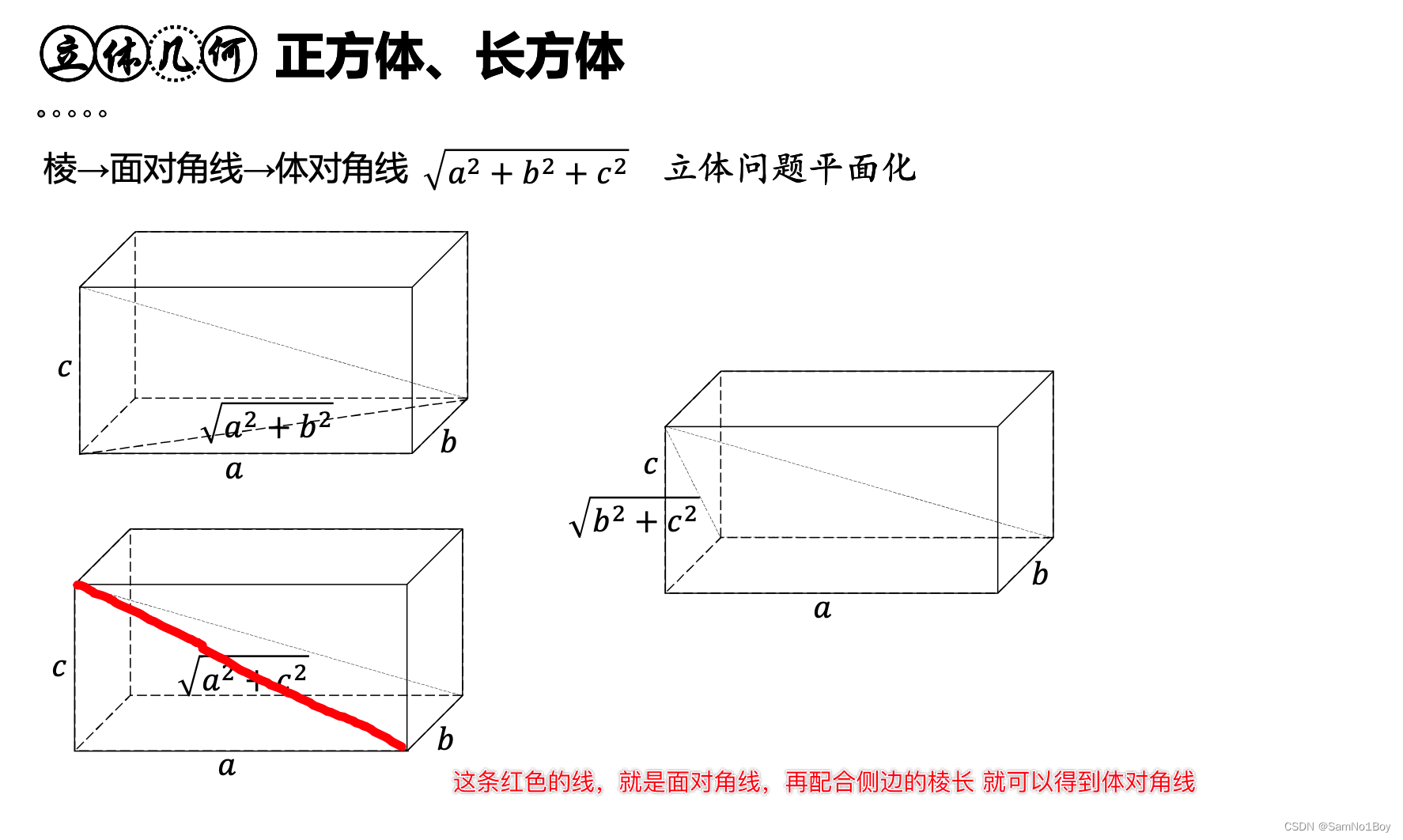「2024」预备研究生mem-正方体与长方体&柱体 圆柱与棱柱_SamNo1Boy的博客-CSDN博客