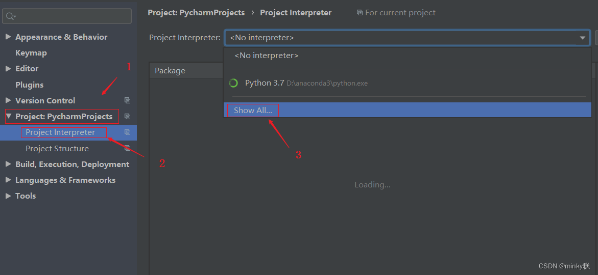 Project->Project interpreter->show All