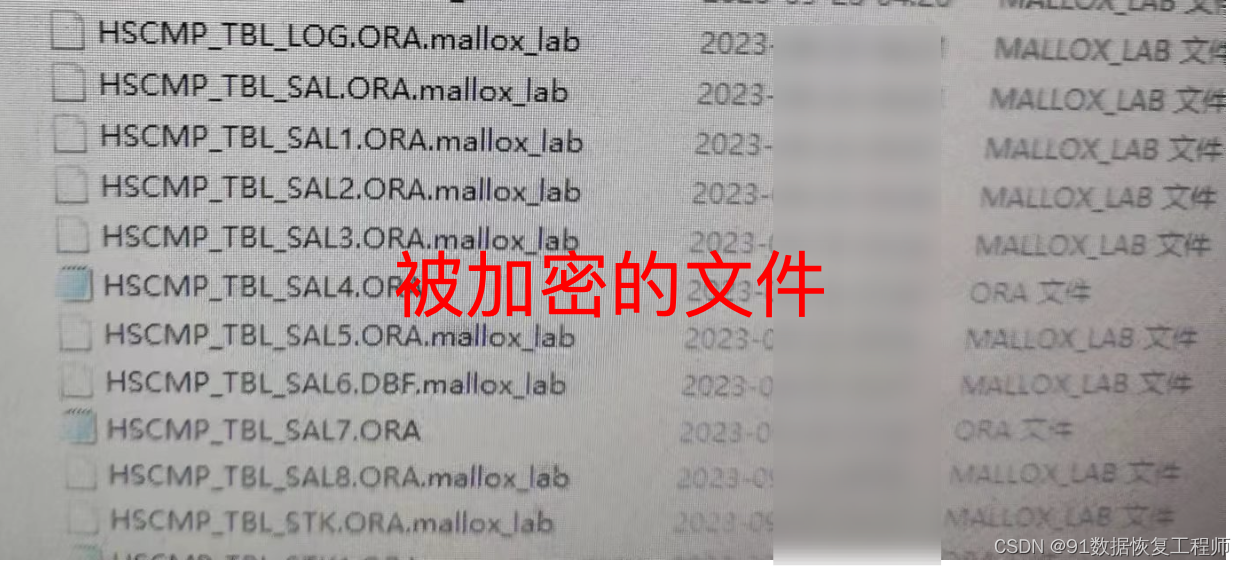 Mallox勒索病毒：最新变种.mallox_lab袭击了您的计算机？