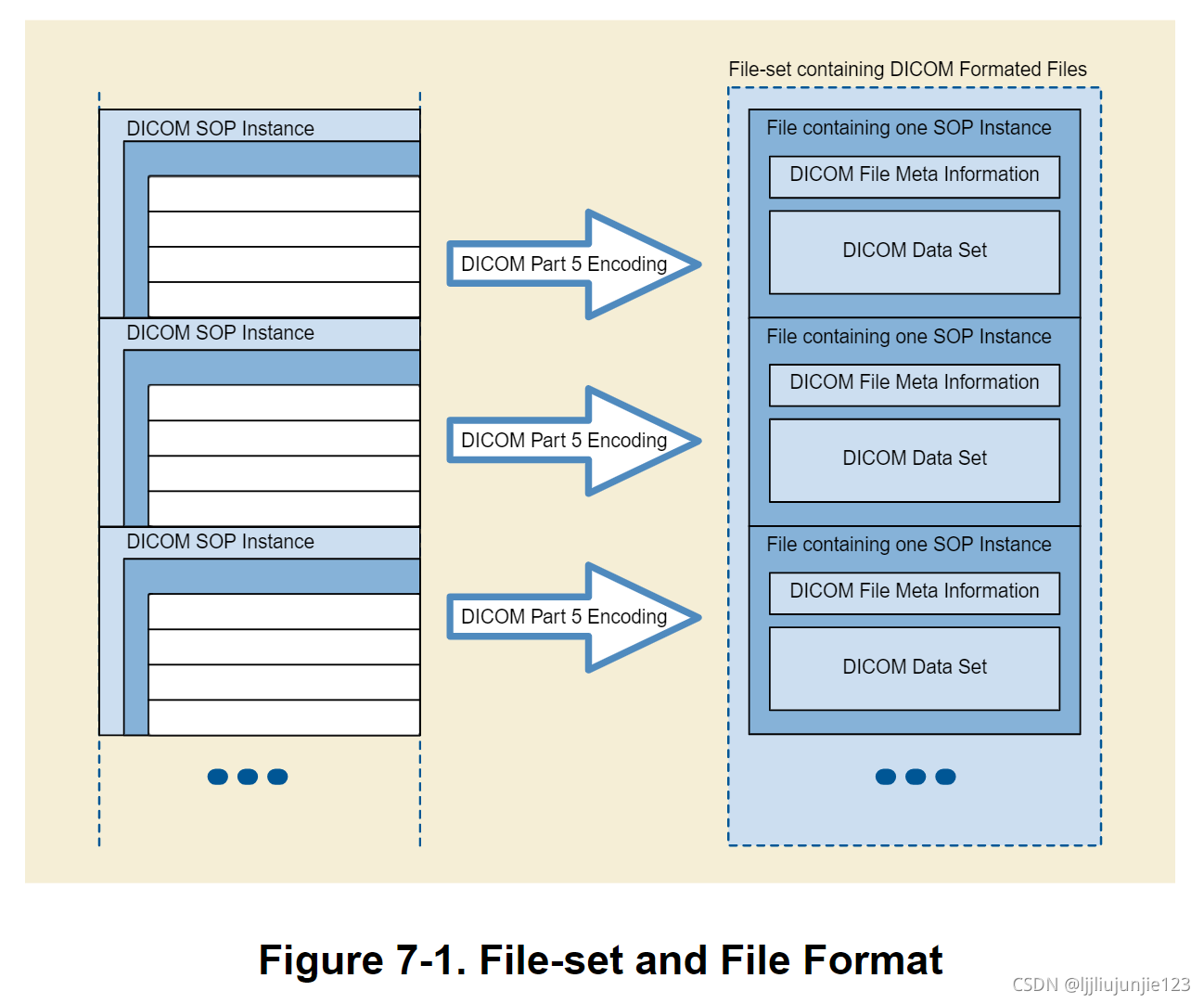Dicom File Type DICOM 文件格式分析 概要_inplanephaseencodingdirectiondicom-CSDN博客