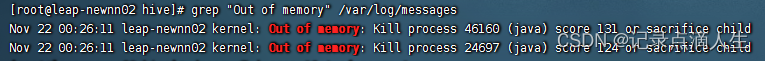 记录一次因内存不足而导致hiveserver2和namenode进程宕机的排查