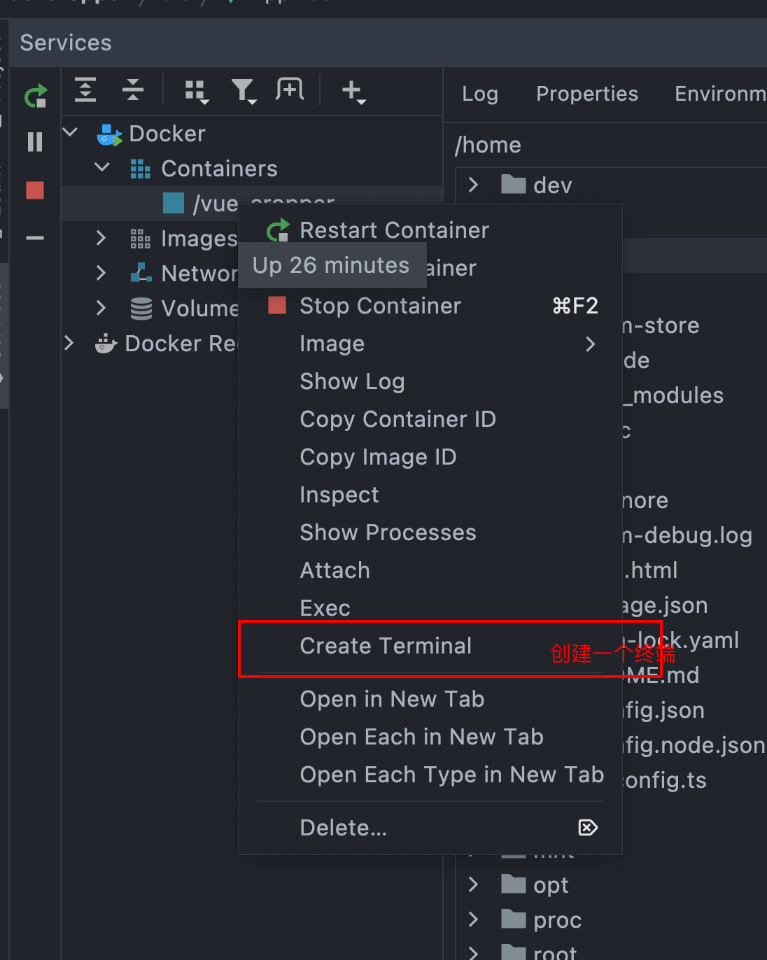 （让前端拥抱docker）关于webstrom使用docker环境开发_webstorm Docker-CSDN博客