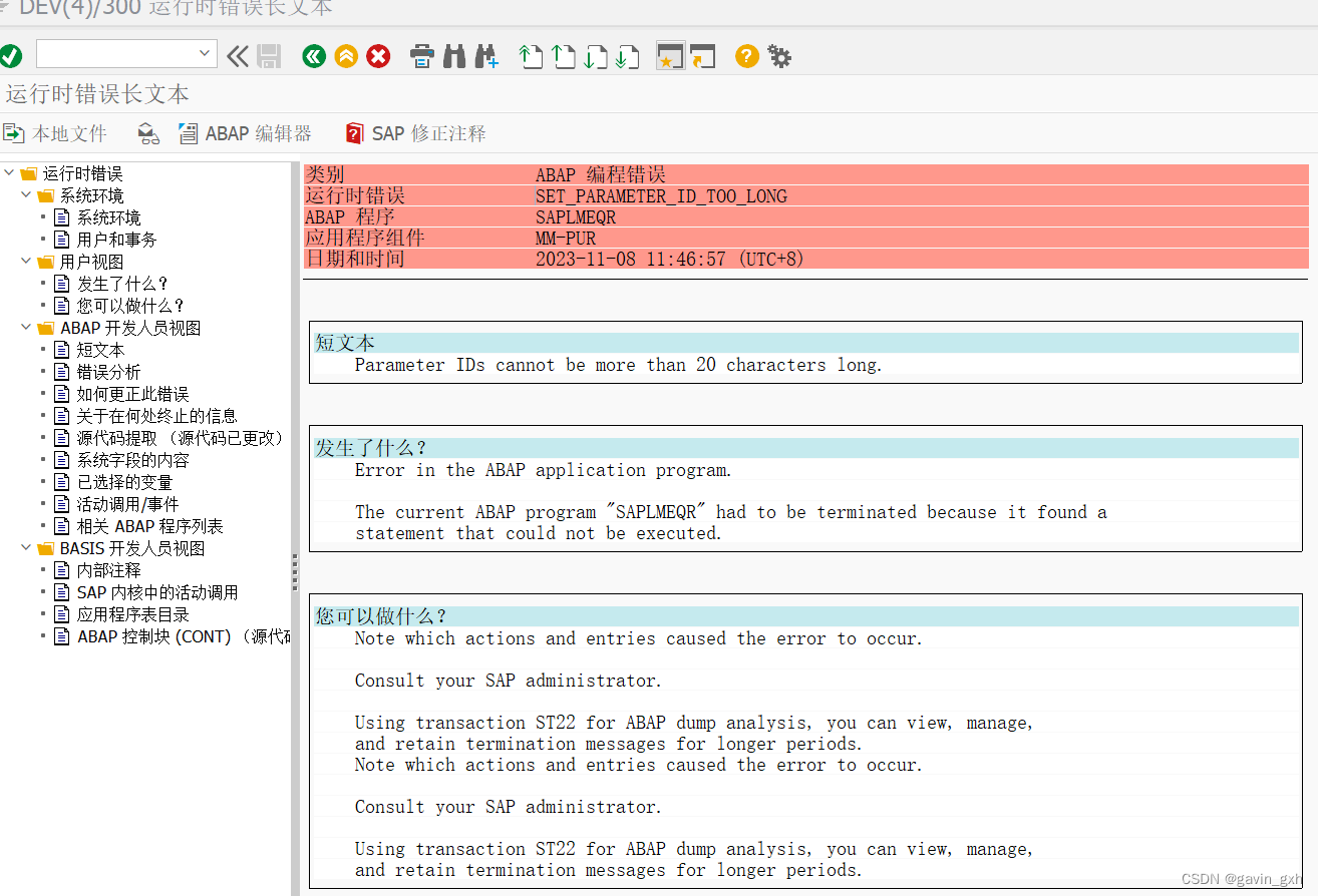 SAP BASIS SET_PARAMETER_ID_TOO_LONG