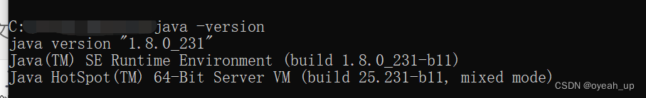 Error attaching to process: sun.jvm.hotspot.debugger.DebuggerException: cannot open binary file sun.