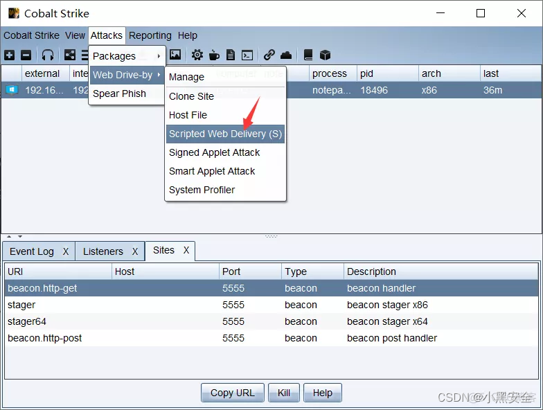 Cobalt Strike基本使用_服务器_37