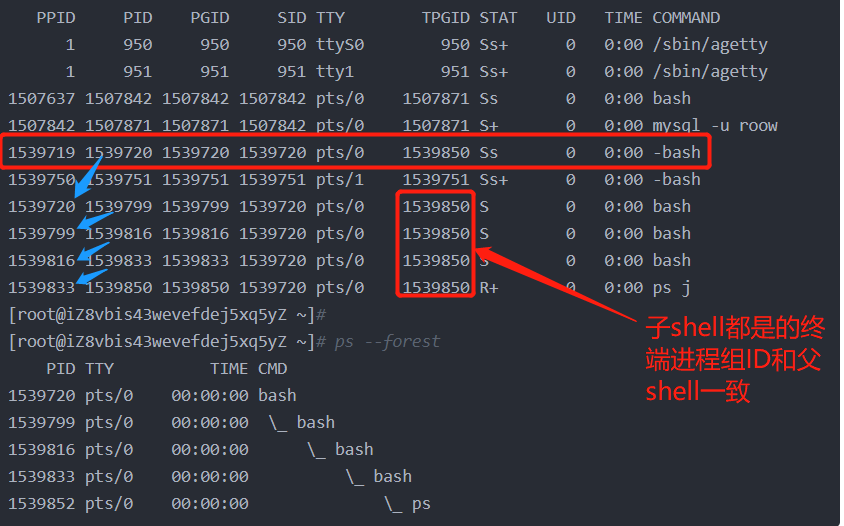 什么情况下会开启子shell Shell 进阶 Myysophia的博客 Csdn博客 启动子shell