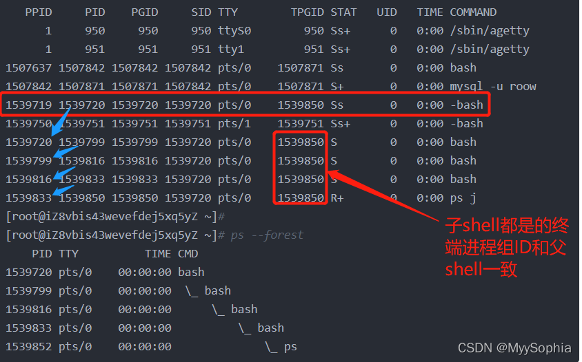 什么情况下会开启子shell Shell 进阶 Myysophia的博客 Csdn博客 启动子shell 什么情况下会开启子shell Shell 进阶 Myysophia的博客 Csdn博客 启动子shell