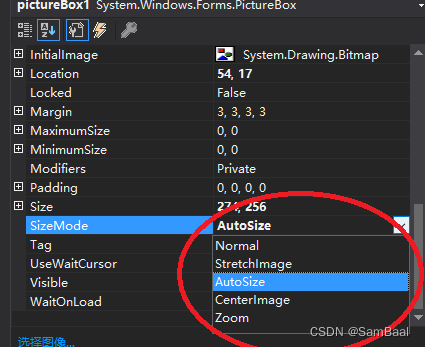 C# 自定义Attribute 允许参数字符代码 类似执行字符串代码_getstandardvalues-CSDN博客