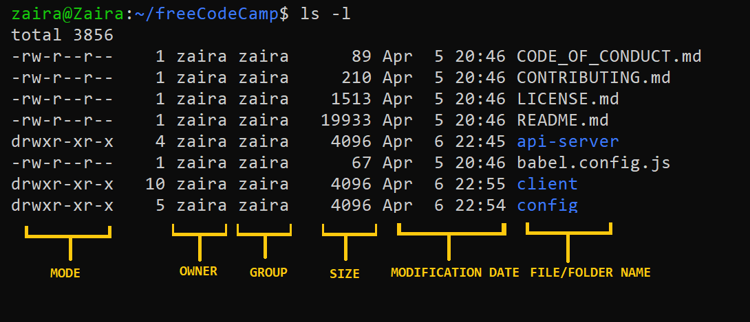 【Linux系统】文件 / 文件夹权限：chmod